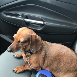 Meet your Posher, Patrick